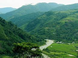 Taman Nasional Gunung Palung