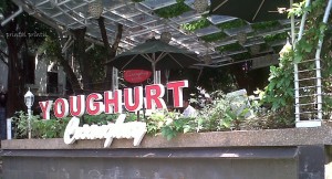 Cisangkuy Yoghurt Surapati Bandung