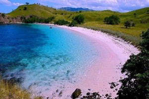 Tempat Wisata Pantai Pink Lombok Timur